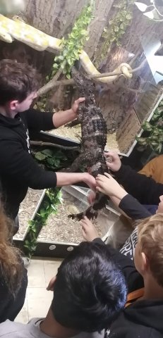 navstevateraristiky 17